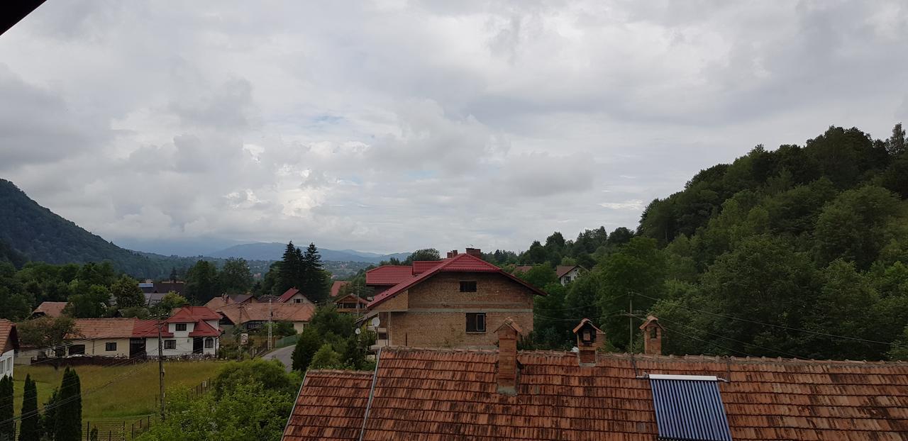 Pensiunea Casa Beatrice Bran บราน ภายนอก รูปภาพ
