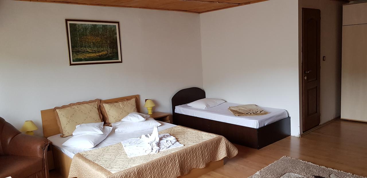 Pensiunea Casa Beatrice Bran บราน ภายนอก รูปภาพ